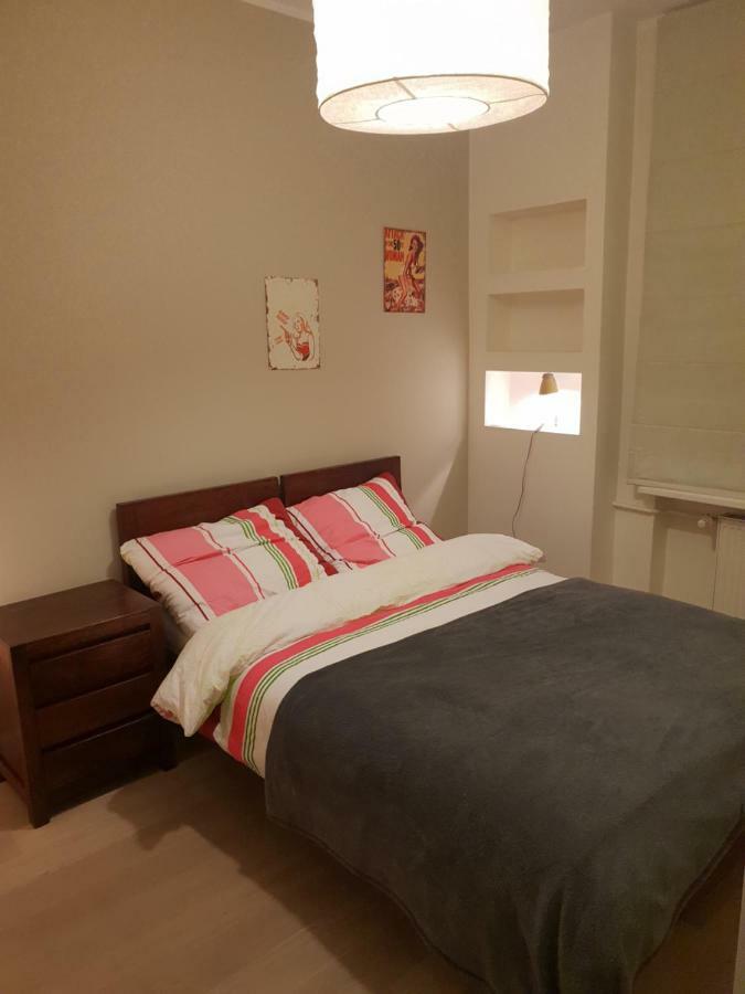 Perfect Stay - "Apartament Zamkowy" - Parking Place Stary Toruń 外观 照片